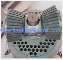 two rollers pellet mill